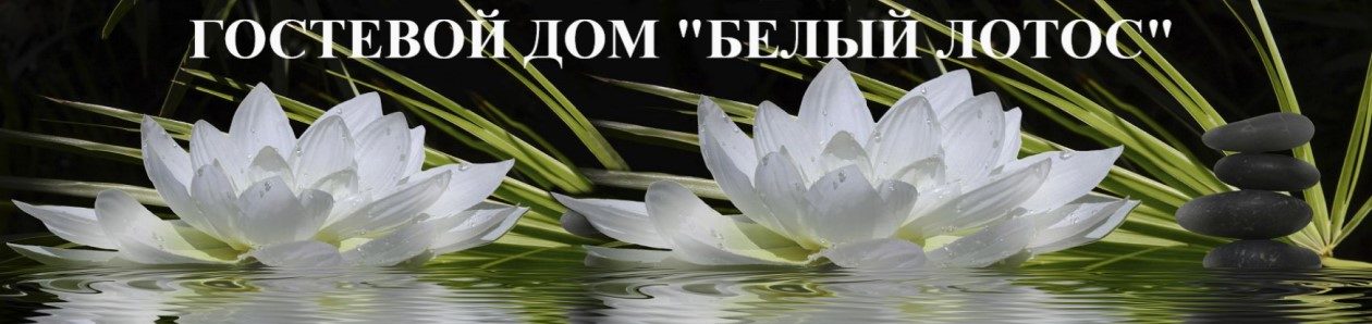 baza_lotos.ru